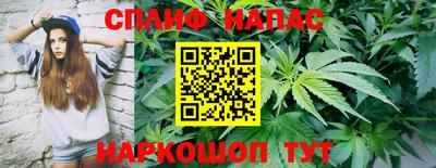 бошки Славгород