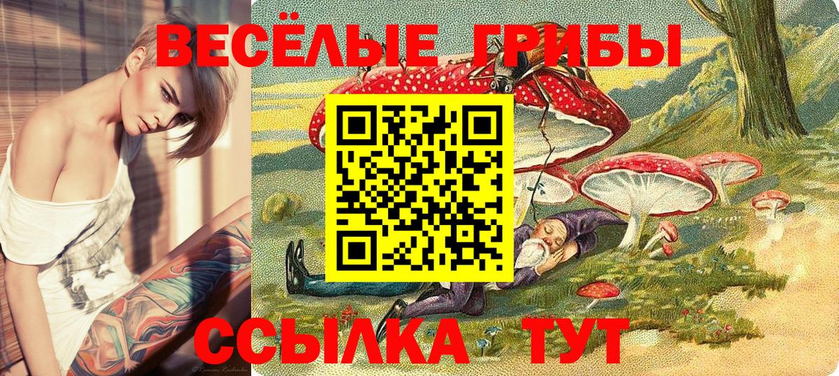 Новочебоксарск  Псилоцибиновые грибы мицелий  Вход с VPN 
