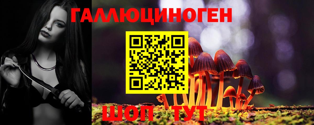 Галлюциногенные грибы Psilocybe Новочебоксарск